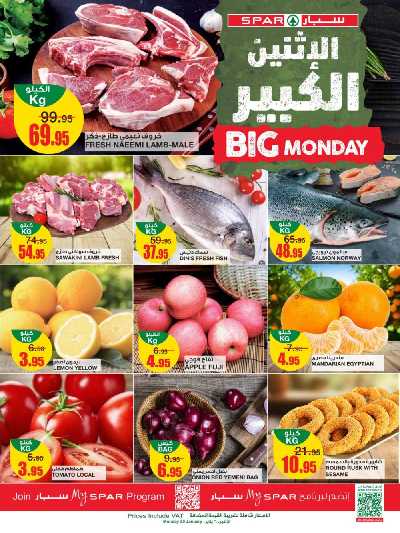 عرض اليوم الواحد من سبار 1