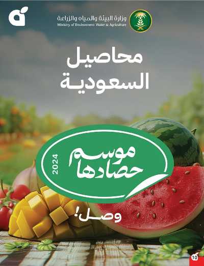 العروض الاسبوعيه من هايبر بنده 11