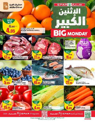 عرض اليوم الواحد من سبار 1