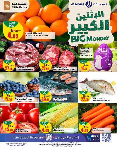 عرض اليوم الواحد من السدحان 1