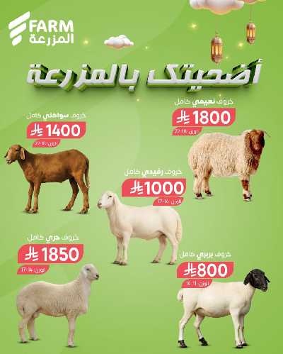 عروض الأضحيه من أسواق المزرعة 2