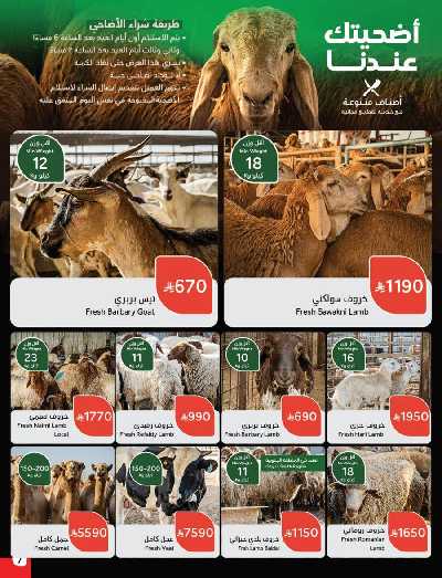 العروض الاسبوعيه من هايبر بنده 7