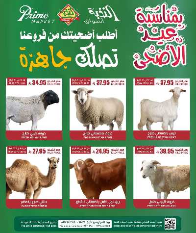 عروض الأضحيه من النخبه 2