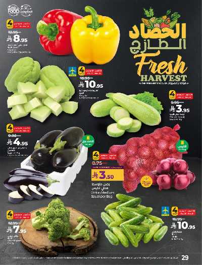 العروض الاسبوعيه من لولو - المنطقة الوسطى 31