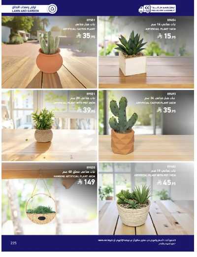 صفحة 225 من كتالوج عروض الأثاث الخارجى من ساكو