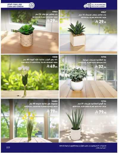 صفحة 227 من كتالوج عروض الأثاث الخارجى من ساكو