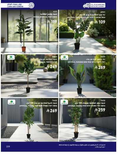 صفحة 229 من كتالوج عروض الأثاث الخارجى من ساكو