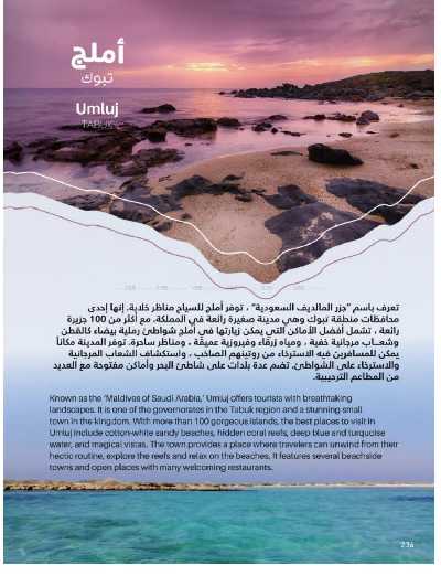 صفحة 234 من كتالوج عروض الأثاث الخارجى من ساكو