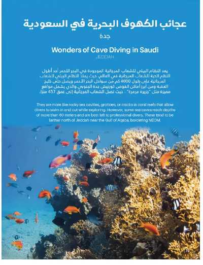 صفحة 70 من كتالوج عروض الأثاث الخارجى من ساكو