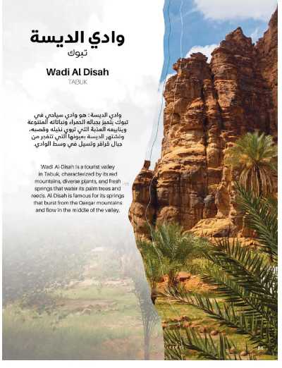 صفحة 86 من كتالوج عروض الأثاث الخارجى من ساكو