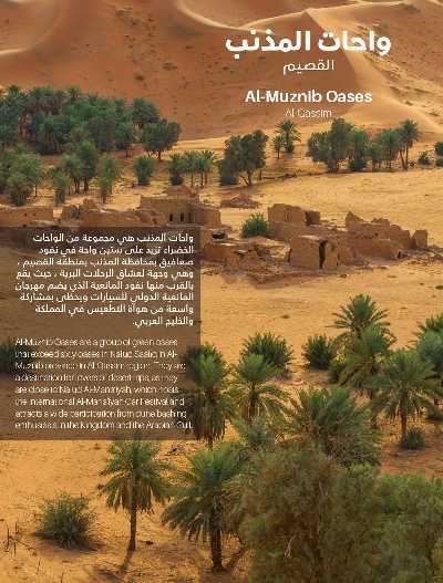 عروض أجواء الشتاء من ساكو 15